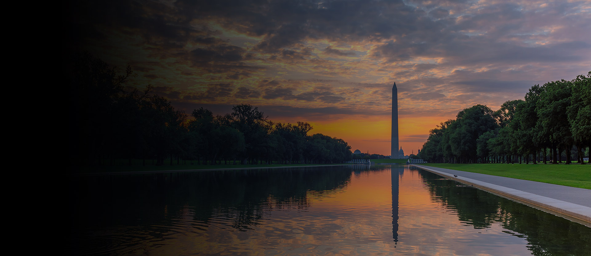 dc with daniel washington dc tours